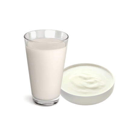 Milk Yogurt And More